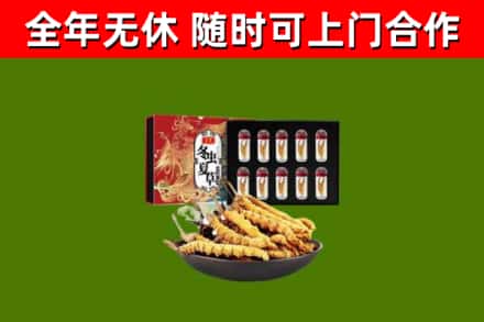 下城回收冬虫夏草价格
